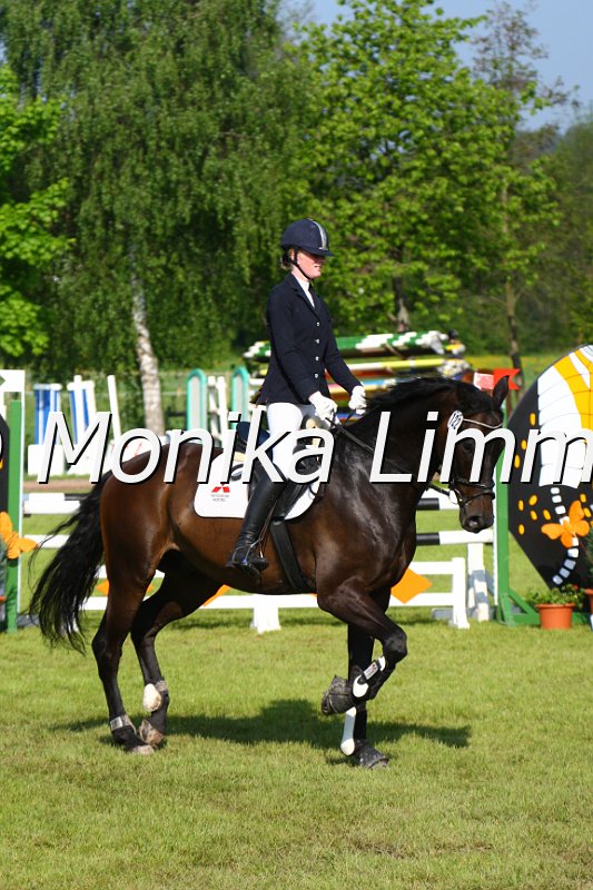 005M3978_Florimondo_Springpferde A.JPG